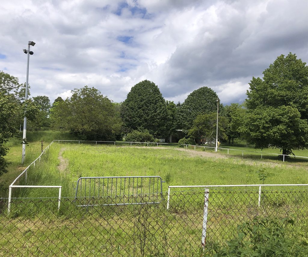 Foto Rasenstück (nicht britisch gepflegt)